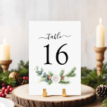 Numéro De Table Boho Script hiver verdure Mariage À feuillage pers<br><div class="desc">Guidez vos invités avec cette carte de numéro de table de mariage boho script hiver verdure. Doté d'un feuillage à feuillage persistant et d'une écriture manuscrite moderne, le design est parfait pour les mariages de Noël, les boisés ou les rustiques. Un détail élégant et pratique qui ajoute de l'élégance à...</div>