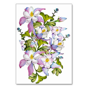 Numéro De Table Bouquet coloré d'aquarelle de columbine et vert