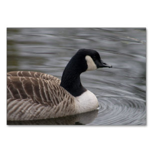 Numéro De Table Canada Goose
