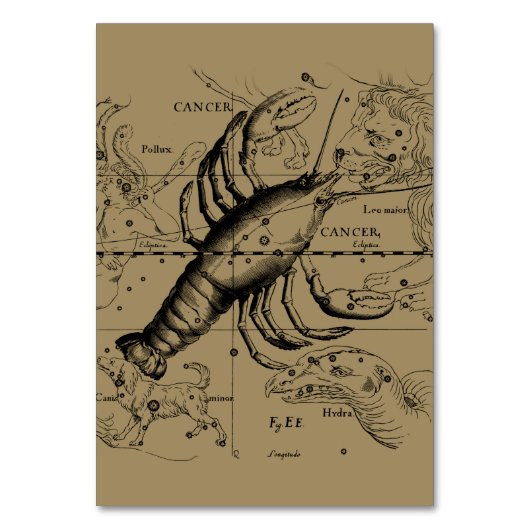 Numéro De Table Cancer Constellation Hevelius 1690 21 juin-22 juil (Par défaut)