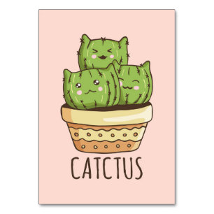 Numéro De Table Cat rencontre Cactus