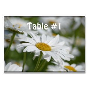 Numéro De Table Champ de marguerites