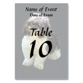 Numéro De Table Chiots Shih Tzu Adorables (Dos)