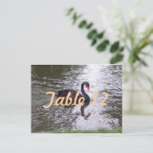Numéro de table Cygne noir (Debout devant)