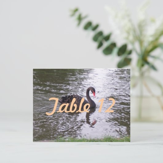 Numéro de table Cygne noir (Debout devant)