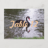 Numéro de table Cygne noir (Devant)