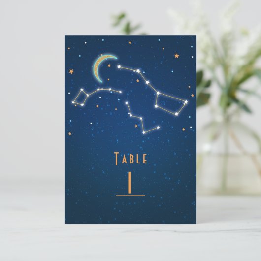 Numéro de table de constellation de l'observation  (Debout devant)