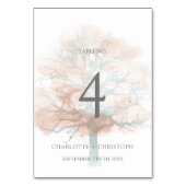 Numéro de table de l'arbre brumeux (Dos)