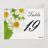 numéro de table de marguerite blanche (Dos)