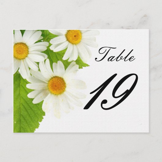numéro de table de marguerite blanche (Devant)