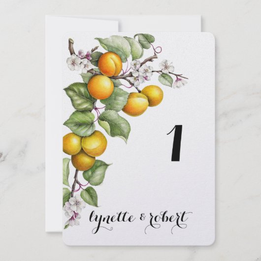 Numéro de table de mariage à l'aquarelle de fruits (Devant)