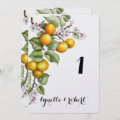 Numéro de table de mariage à l'aquarelle de fruits (Devant / Derrière)