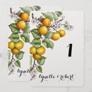Numéro de table de mariage à l'aquarelle de fruits