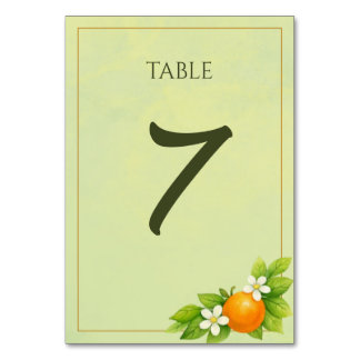 Numéro de table de mariage Citrus Garden Orange &