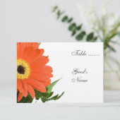 Numéro de table de mariage Orange Gerber (Debout devant)