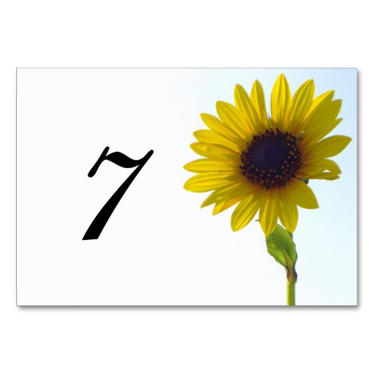 Numéro de table de tournesol (Dos)