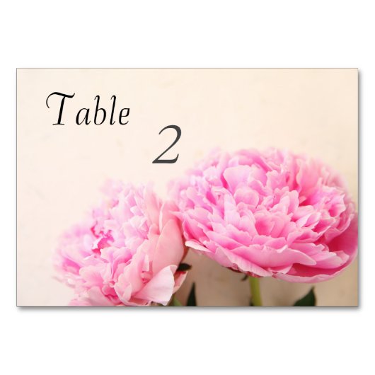 Numéro De Table Deux pivoines roses (Devant)