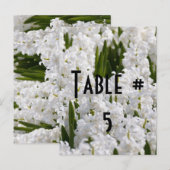 Numéro de table d'invité (Devant / Derrière)