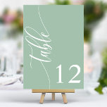 Numéro De Table Dusty Mint Green Moderne Mariage de calligraphie<br><div class="desc">Guidez vos invités à leurs sièges avec ces élégants numéros de table de mariage vert menthe et poussiéreux. Avec un design minimaliste et une calligraphie moderne, ces numéros de table ajoutent une touche de sophistication à votre réception de mariage. La typographie arrière - plan douce et propre et élégante assure...</div>