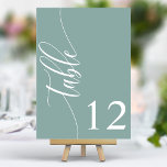Numéro De Table Dusty Turquoise Moderne Mariage de calligraphie<br><div class="desc">Guidez vos invités à leurs sièges avec ces élégants numéros de table turquoise poussiéreux et élégants. Avec un design minimaliste et une calligraphie moderne, ces numéros de table ajoutent une touche de sophistication à votre réception de mariage. La typographie arrière - plan douce et propre et élégante assure une lisibilité...</div>