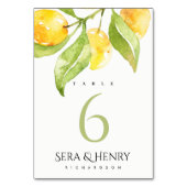 NUMÉRO DE TABLE EAU VERTE JAUNE FOLIAGE OLIVE GOLD TABLE (Dos)