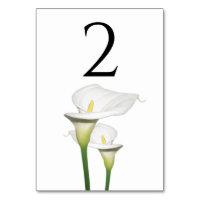 Elégant blanc Calla Lilies Mariage