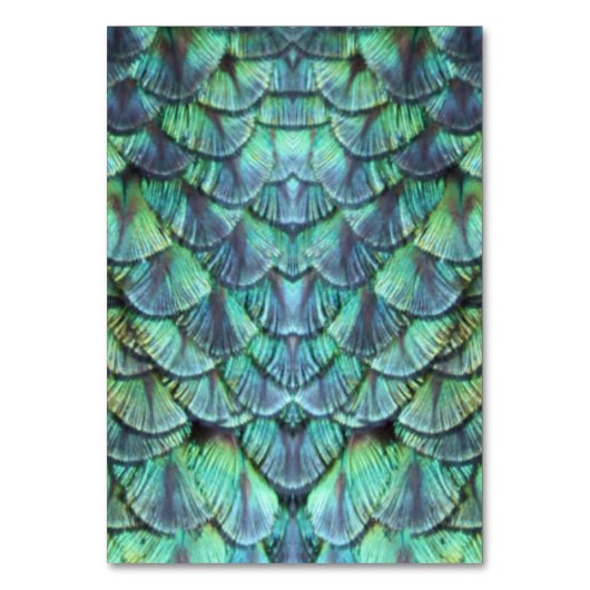Numéro De Table Élégant Turquoise Peacock Mariage en plumes (Dos)