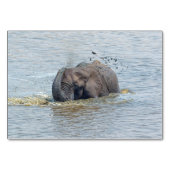 Numéro De Table éléphant de bain (Dos)