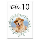 Numéro De Table Eucalyptus Green Modern Chien Photo Animaux Mariag (Dos)