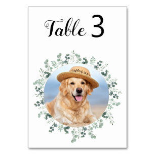 Numéro De Table Eucalyptus moderne Custom Chien Photo Animal Maria
