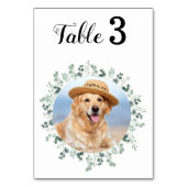 Numéro De Table Eucalyptus Moderne Élégant Mariage photo (Dos)