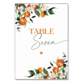 Numéro De Table Eucalyptus oranges agrumes numéro de la table thém (Dos)
