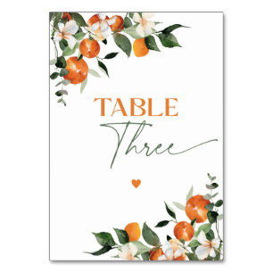 Numéro De Table Eucalyptus oranges agrumes table thématique numéro