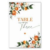 Numéro De Table Eucalyptus oranges agrumes table thématique numéro (Dos)