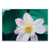 Numéro De Table Fleur Lotus (Devant)