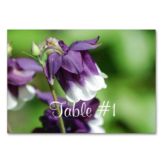 Numéro De Table Fleurs de colonne (Devant)