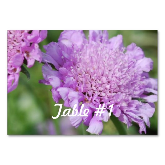 Numéro De Table Fleurs de coussin (Devant)