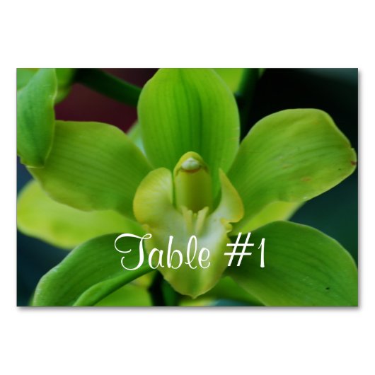 Numéro De Table Fleurs d'orchidées (Devant)