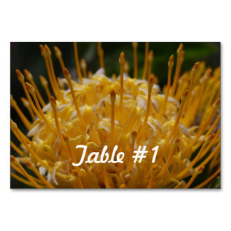 Numéro De Table Fleurs Protea
