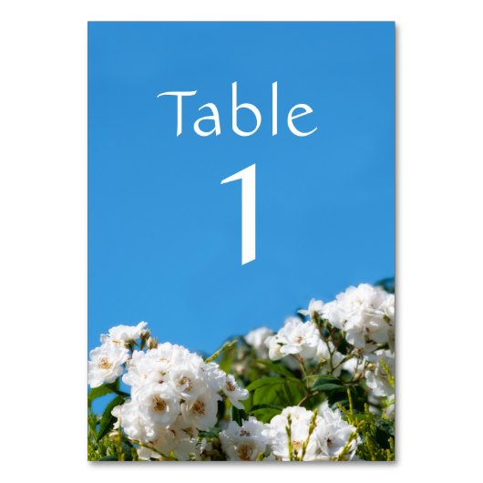 Numéro De Table Floral rose blanc (Par défaut)