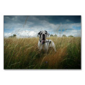 Numéro De Table Foto Platzkarten (Dos)