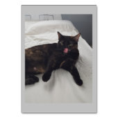 Numéro De Table Fourrure molle, Chat, Lecture Adjective (Par défaut)