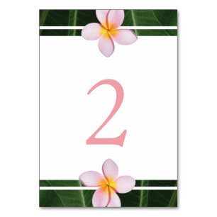 Numéro De Table Frangipani rose Plumeria Mariage