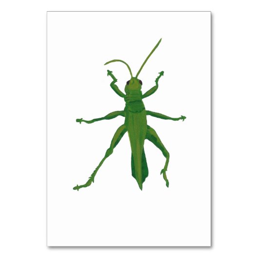 Numéro De Table Grasshopper Custom Insect Reading Flashcards (Par défaut)