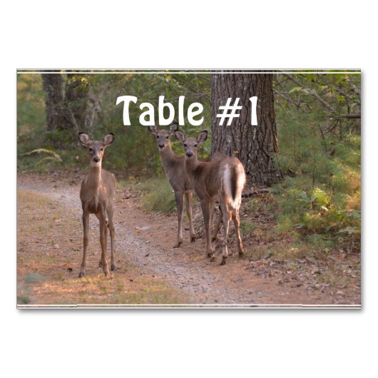 Numéro De Table Groupe de cerfs (Devant)