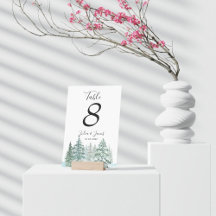 Hiver Pins Rustiques Lanterne Mariage botanique