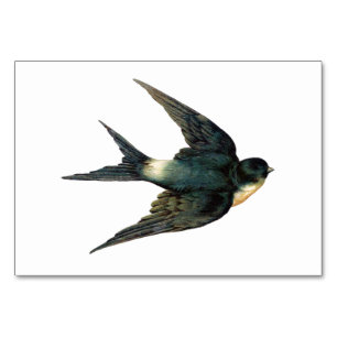 Numéro De Table Illustration vintage de l'oiseau d'hirondelle
