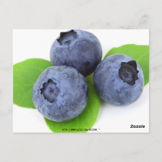 Numéro de table invité (Dos)