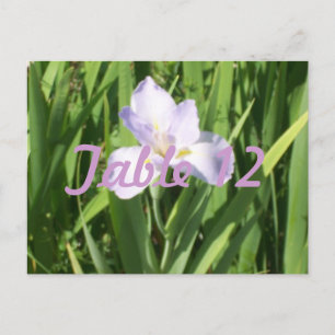 Numéro de table Iris Violet