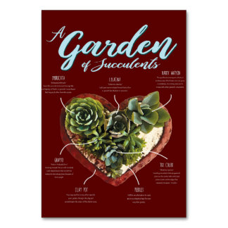 Numéro De Table Jardin De Succulents